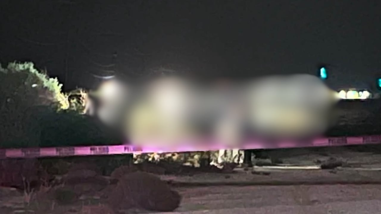 Localizan a mujer sin vida y desmembrada en la colonia Sierra Vista