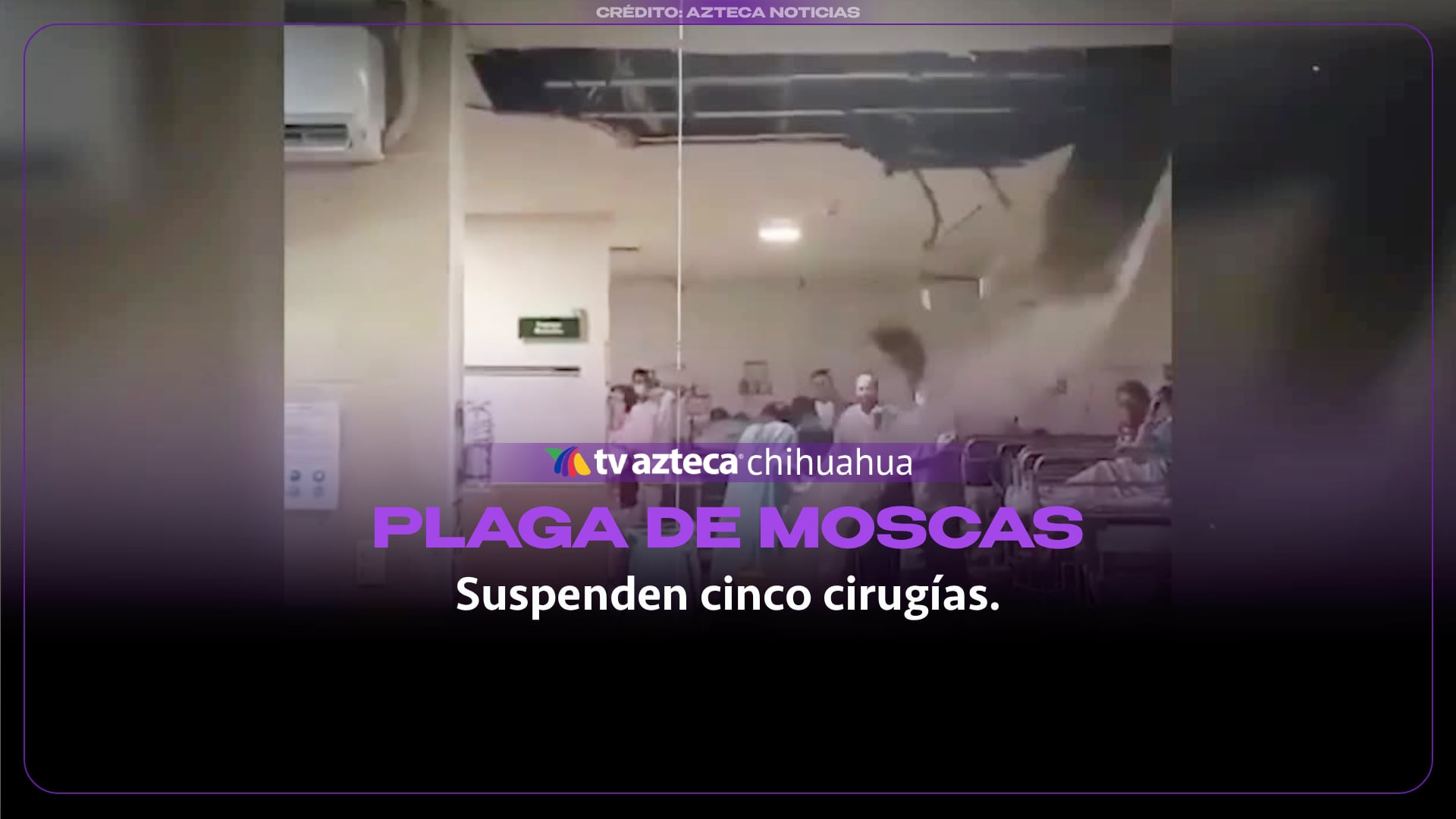 Suspenden cinco cirugías por una plaga de moscas en el Instituto Nacional de Neurología