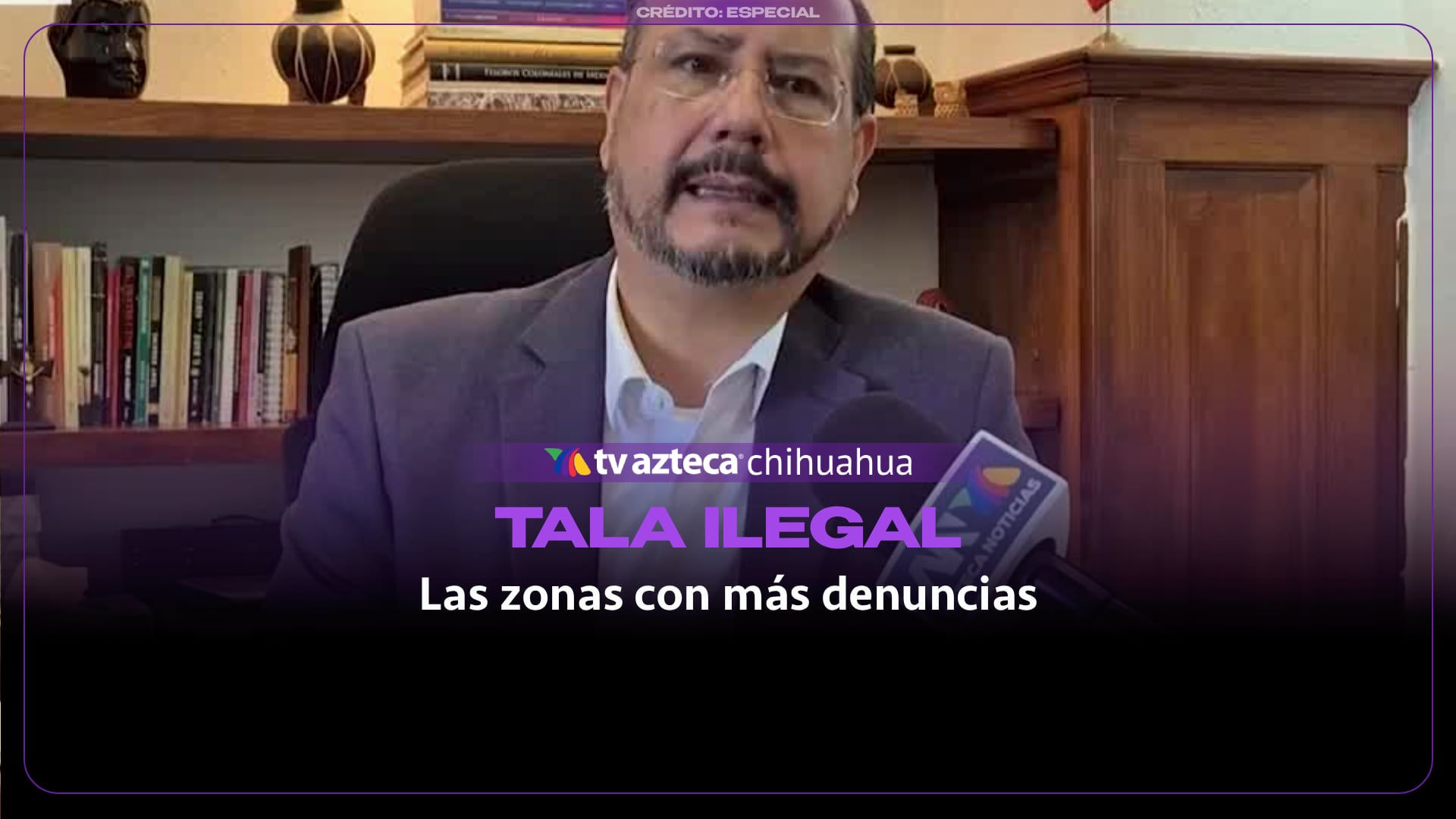 ¿Dónde ocurre más tala clandestina en Chihuahua? Estas son las zonas con más denuncias