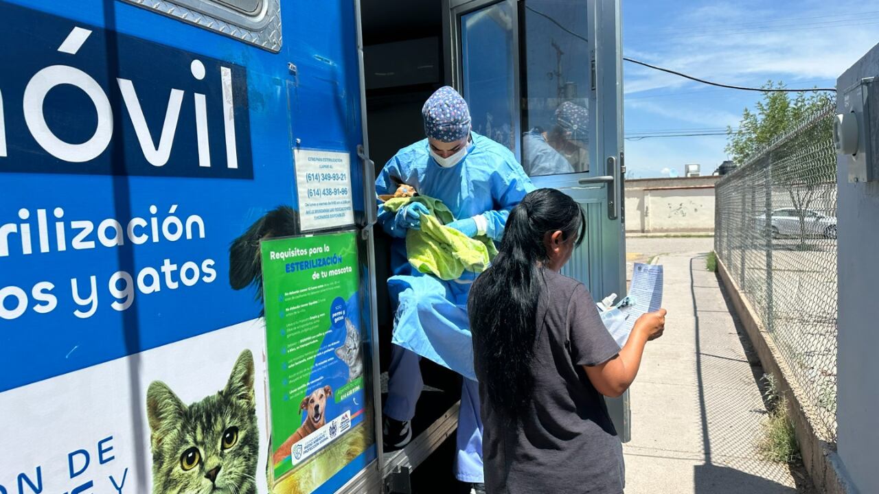 Esterimóvil llegará a Villa Juárez con esterilizaciones gratuitas para mascotas