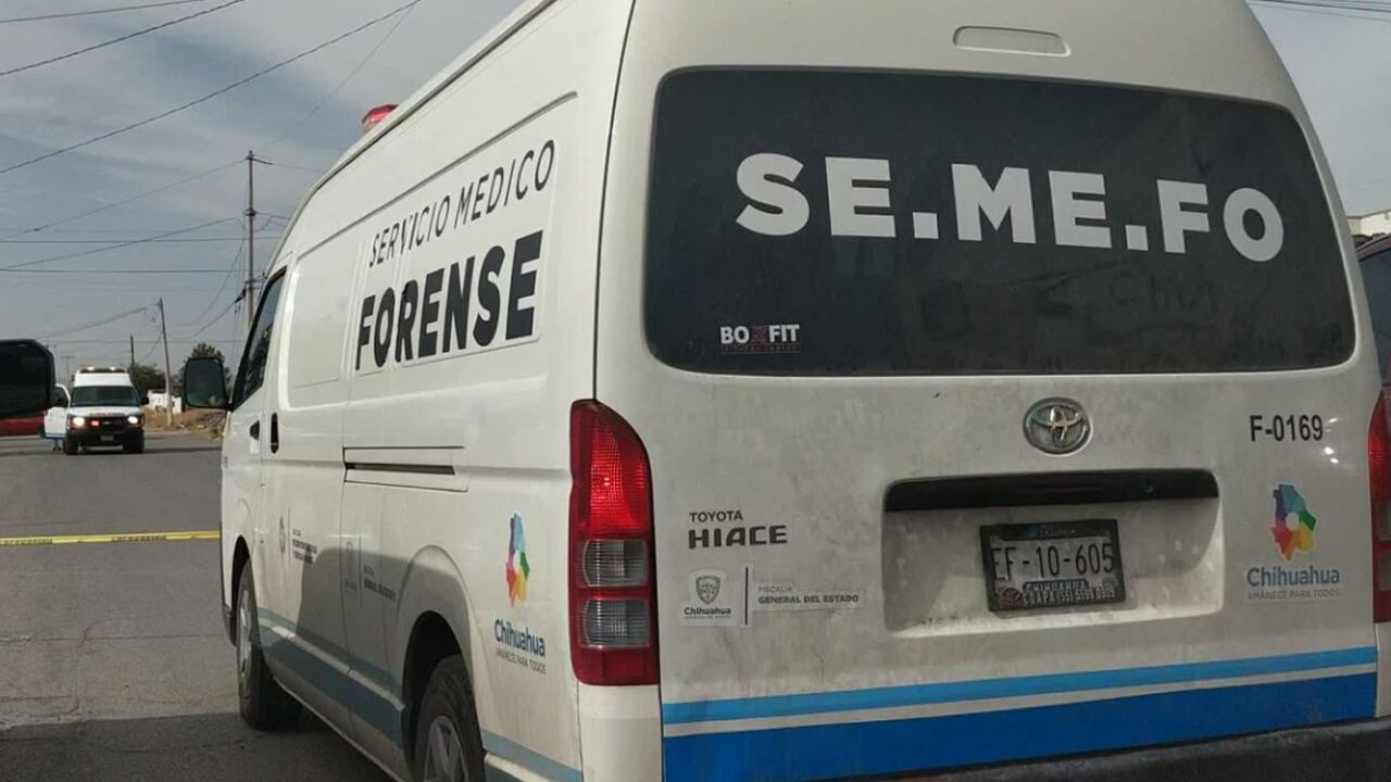 semefo FIA.jpg